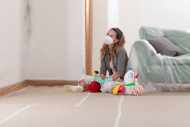Reliable Mold Testing contractor in Park Ridge, IL by WQB Mold Removal